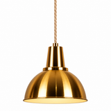Pendant Hanging Light X249