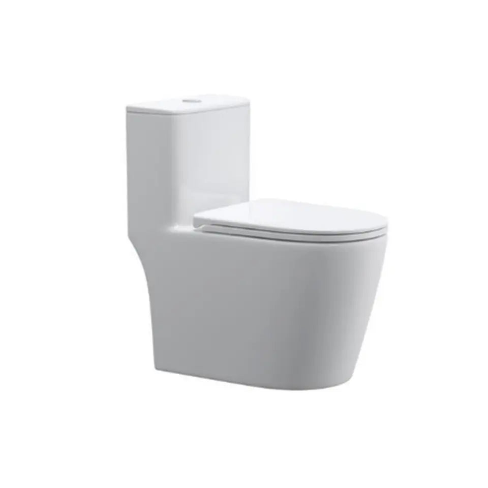 Single Piece WC
