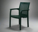 Fesleğen Monoblock Armchair in Dark Green (model CT013, code 96)