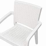 CT022 Big Rattan Armchair (White)