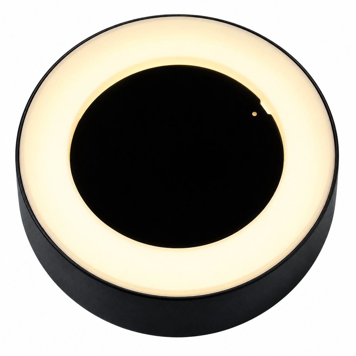 Wall Light 3000K 12W WK2549/GR