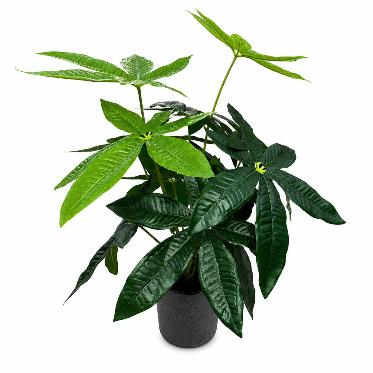 ID-AP55 Artificial Plant