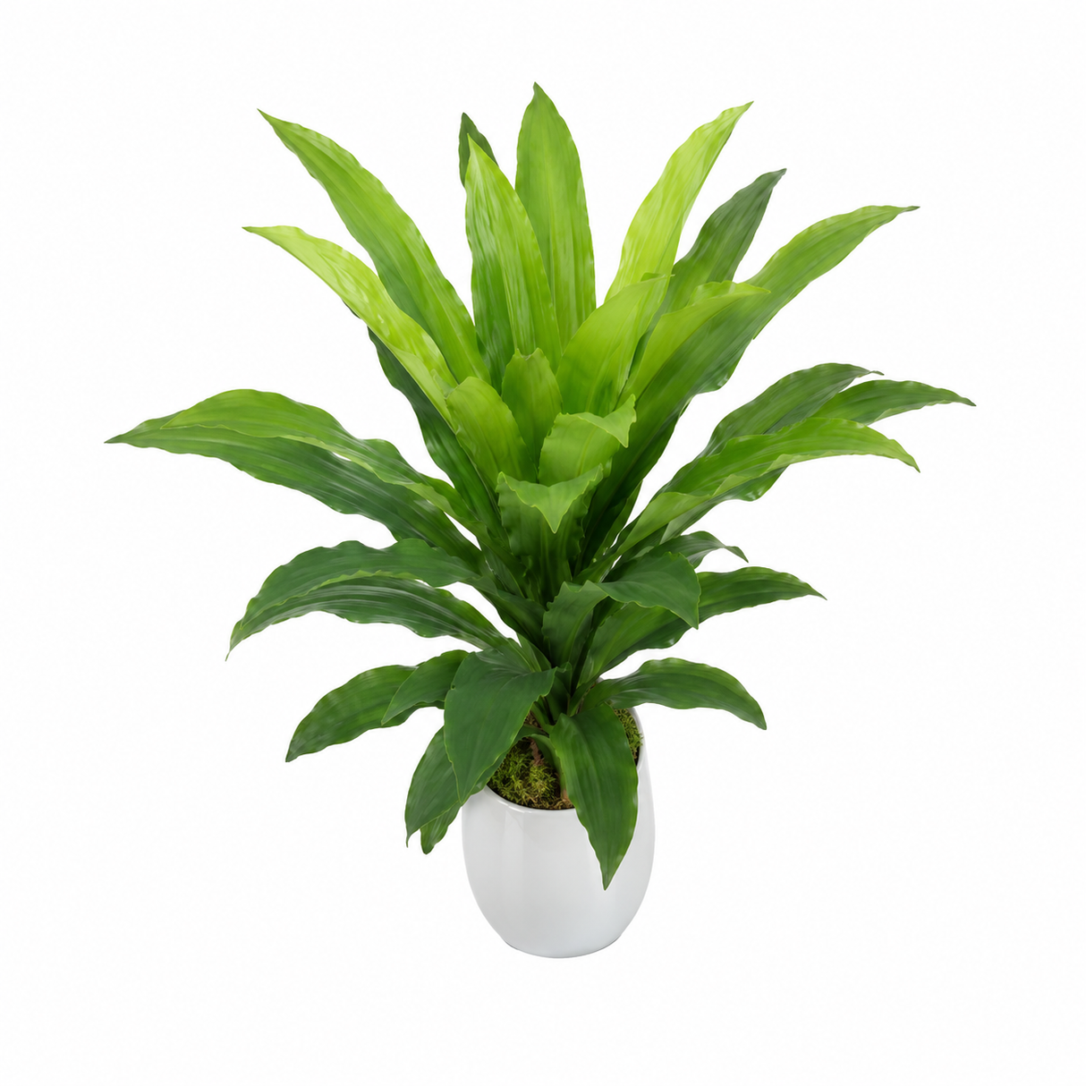 ID-AP26 ARTIFICIAL PLANT 75CM