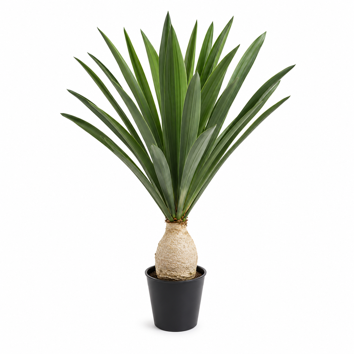 ID-AP17 ARTIFICIAL PLANT 105CM