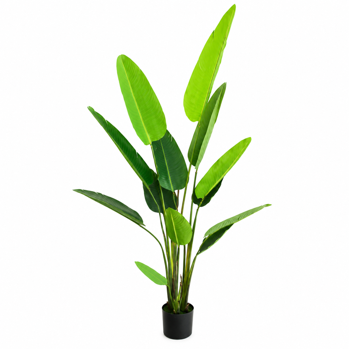 ID-AP42 Artificial Plant 220cm