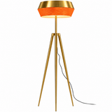 Floor lamp-SM2289F-A-D555×H1700-Golden-Aluminum+Rattan