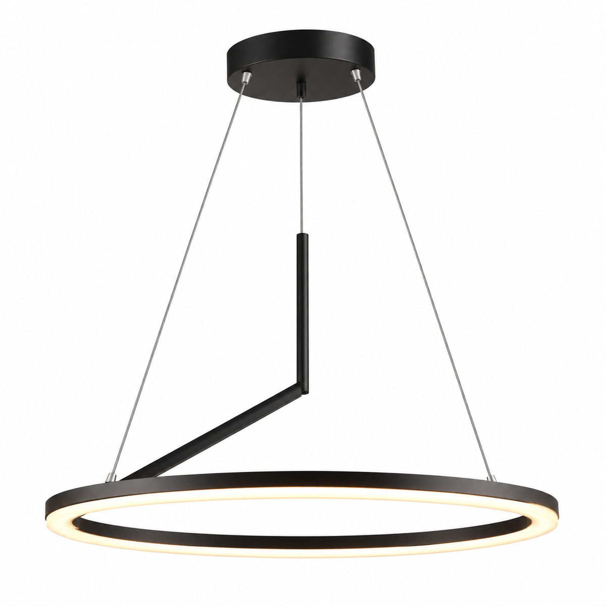 8862P/R800 LED Ring Pendant Lamp