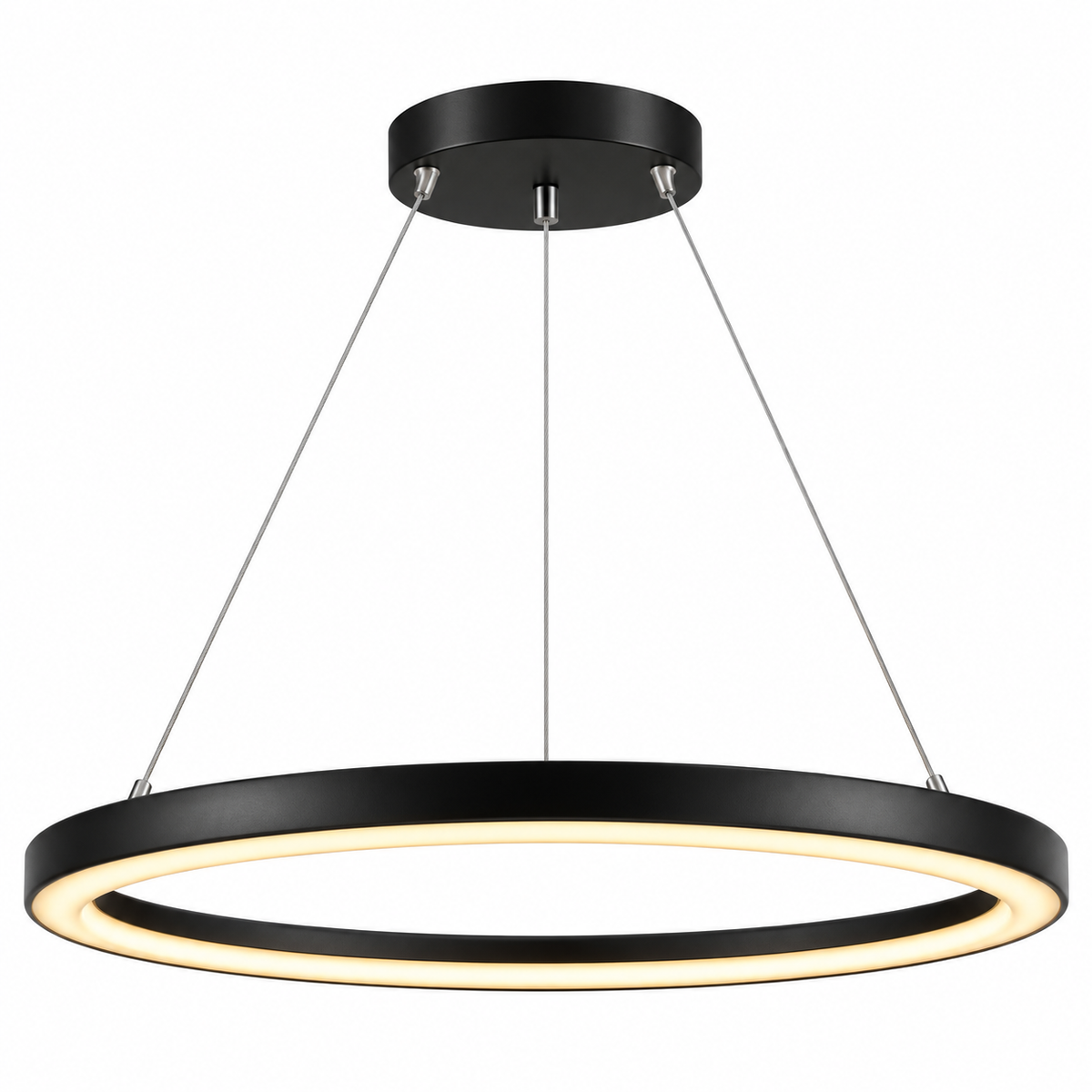8862P/R800 LED Ring Pendant Lamp