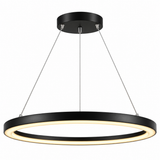 8862P/R800 LED Ring Pendant Lamp