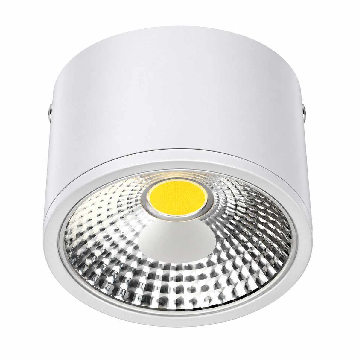 3911 Cylinder Surface Downlight