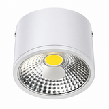 3911 Cylinder Surface Downlight