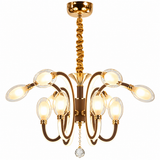 Modern Chandelier