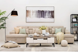 Cherish Sofa (2 sofa lounge with 2 seater bed mechanism)fabric 1902/05,   pillow 1902/03