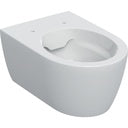 iCon Wall-Hung WC