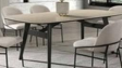 Dining Set TS Cratos Chair (1Pc)