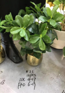 FFO6-19 Artificial Flower