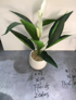 Artificial Flower