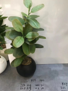 FFO6-3 Artificial Flower