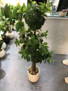 FFO6-8 Artificial Flower