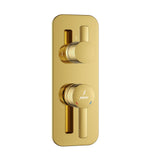 Aquamax Exposed Part Kit of Single Lever Shower Mixer - Gold Bright PVD