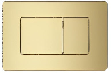 G-1011BG - Brushed Gold - SS PVD Flush Button (256*164mm)