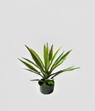 ID-AP29 ARTIFICIAL PLANT 50CM