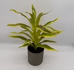 ID-AP49 Artificial Plant