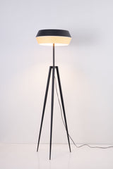 Floor lamp-SM2289F-A-D555×H1700-Black-Aluminum+Rattan