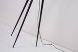 Floor lamp-SM2289F-A-D555×H1700-Black-Aluminum+Rattan