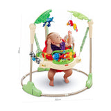 Jumperoo Baby Activity Jumper