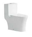 One-Piece Toilet