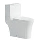 One-Piece Toilet