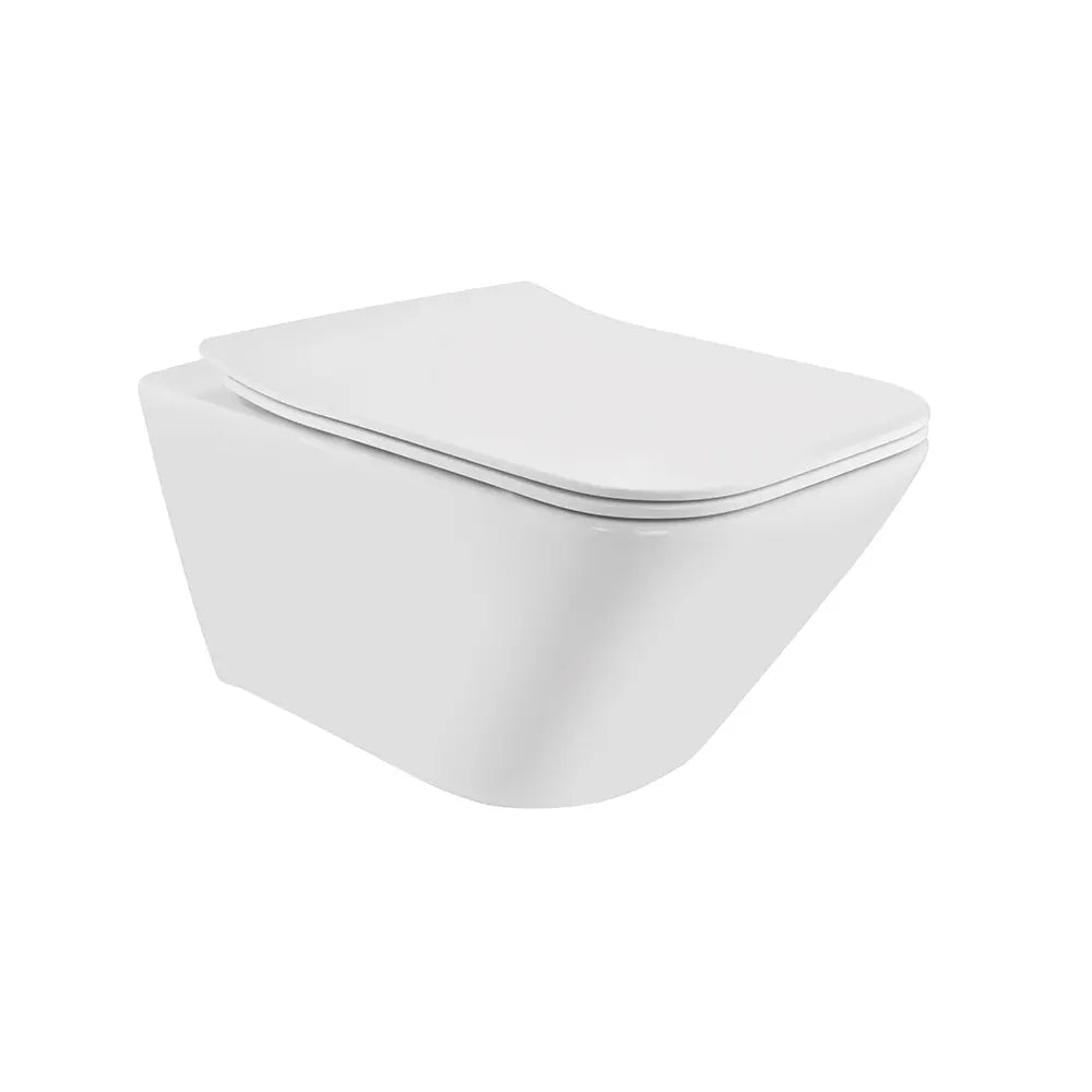 Rimless Blind Installation Wall Hung WC