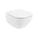 Rimless Wall Hung WC