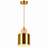 Pendant Hanging Light X303