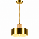 Pendant Hanging Light