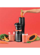 Slow Juicer NB-SJ300