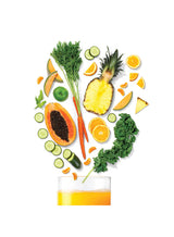 Slow Juicer NB-SJ300