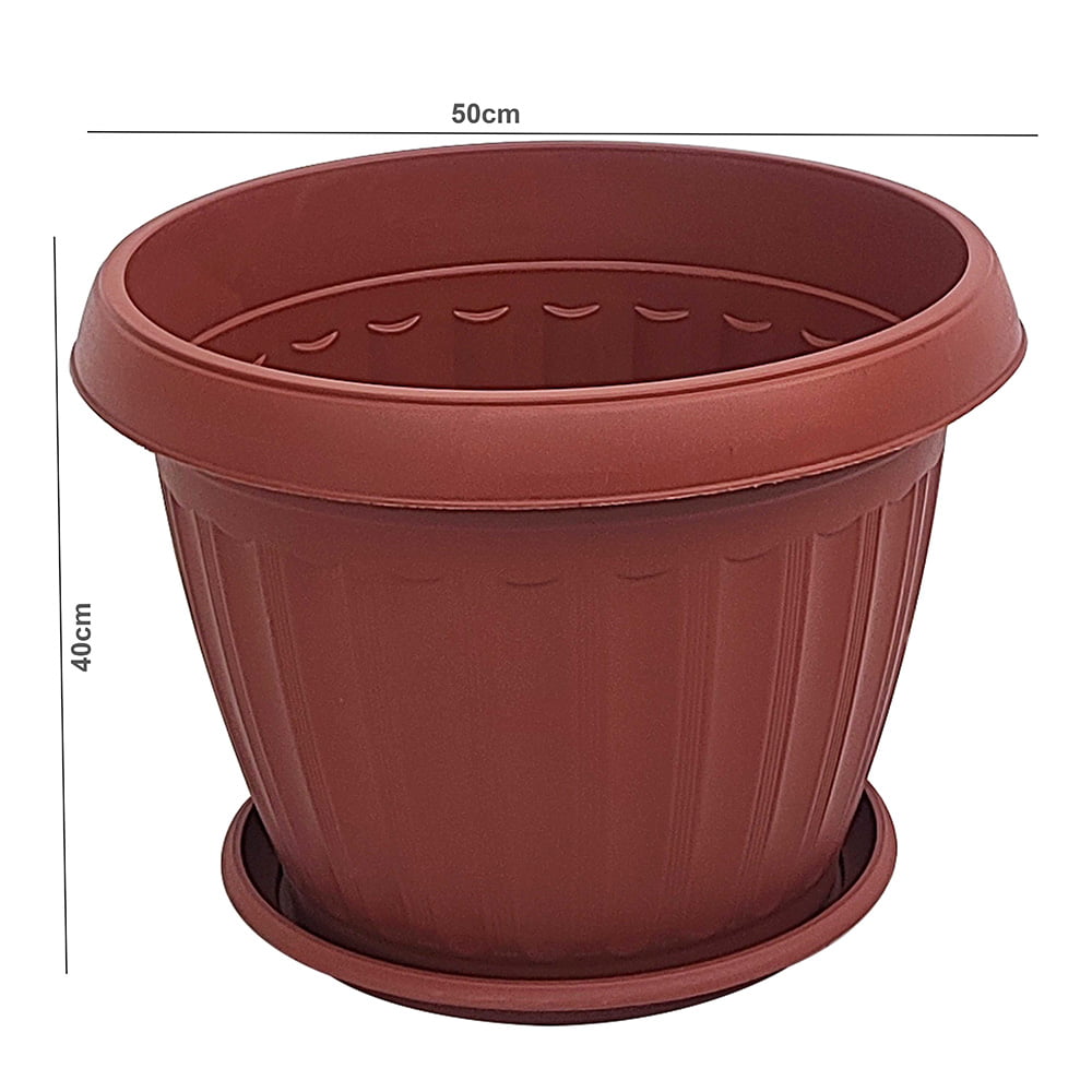 Elegant Vase For Flowers