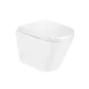 Rimless Blind Installation Wall Hung WC