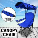 Portable Folding Picnic Chair with Canopy (Blue)