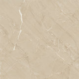 Prozzo Floor And Wall Tile