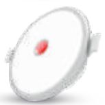 Rangoli Dual Color Downlight