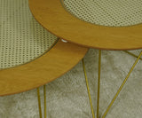 Rattan Orta Center Table set
