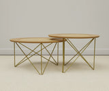 Rattan Orta Center Table set