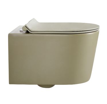 Wall Hung P-Trap Toilet (BX3802 S3 MGN)
