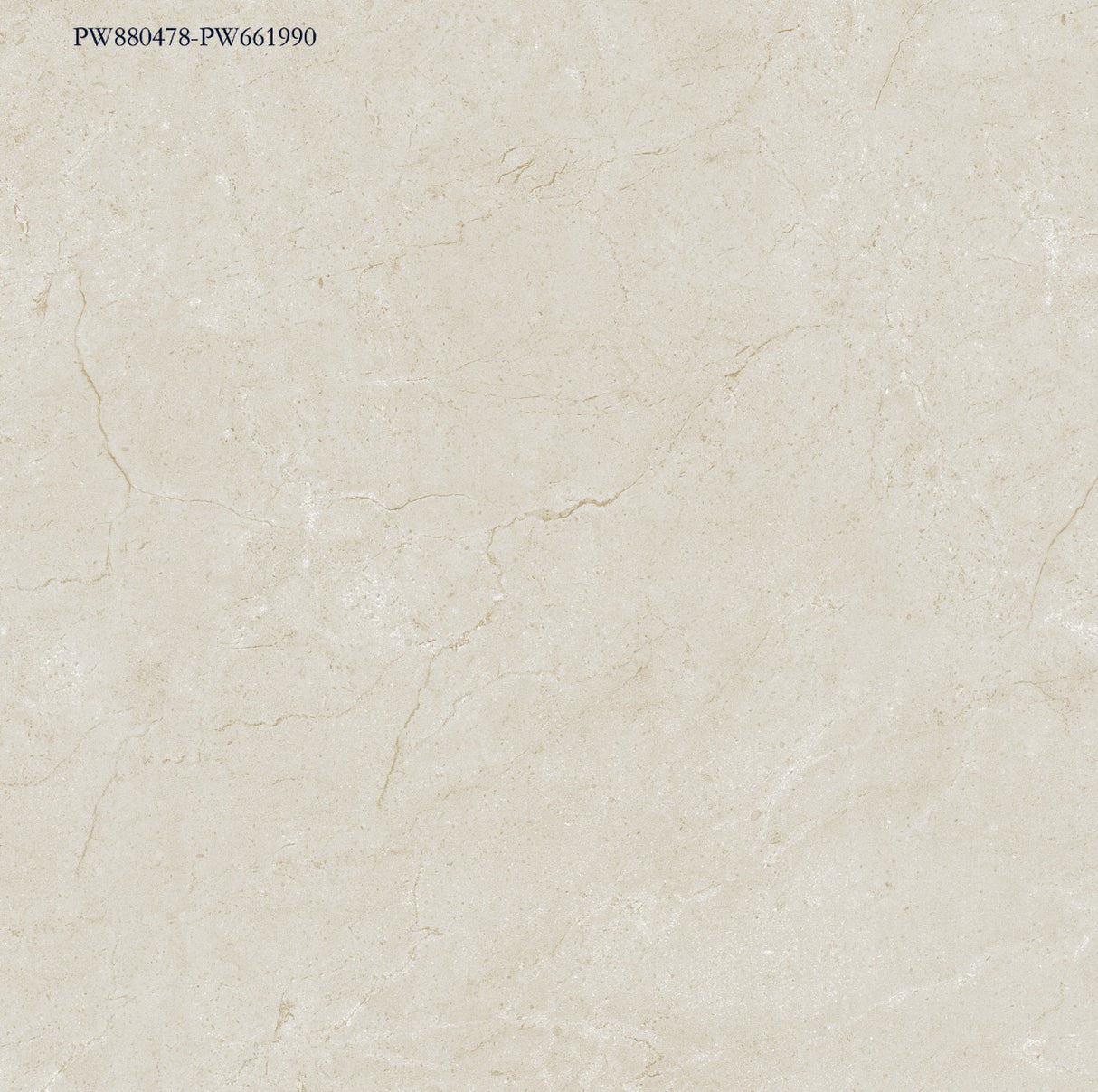 Tile PW88 Smoke White 800x800