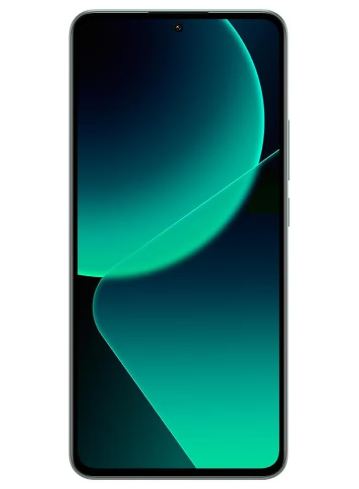 13 T 5g Dual Sim 8gb Ram 256gb Rom Meadow Green International Version