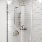 PULSE ShowerSpas 4003-SSB ErgoCornerBar Shelf