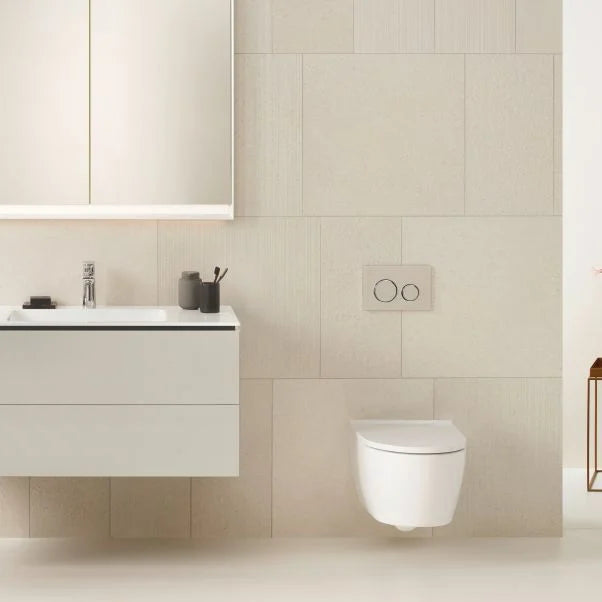 One Wall Mounted Rimless WC And Seat